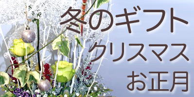 �P�Q���̉ԁ@�N���X�}�X�@����