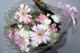 ԑ@sN̂₫@ǂȂɂDFł