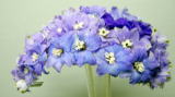 ԁ@Ԃ𑡂@@RT[W