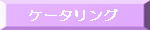ԁ@@P[^O@
