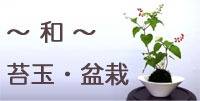 `a`ۋʁ@~́@ȂX^WIHiroiԉ j