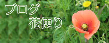 花便り フラワースクールとショップ