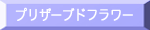 vU[uht[